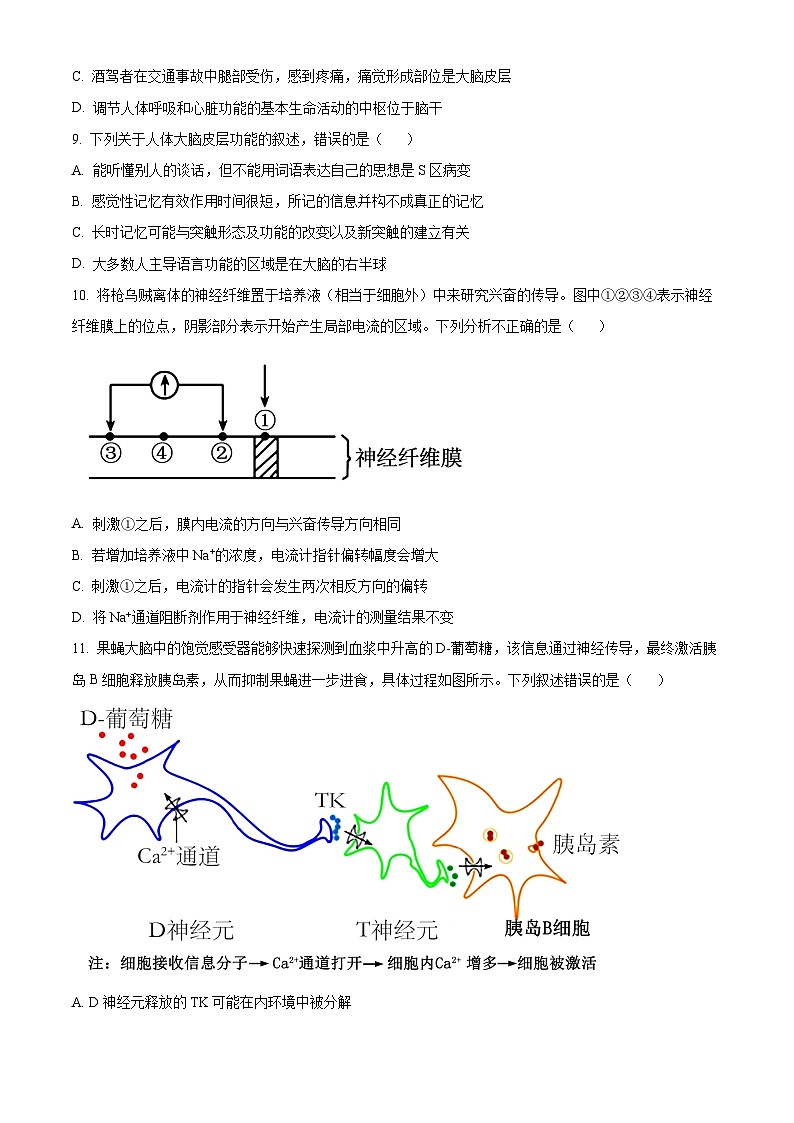 2024长春东北师大附中高二上学期期中考试生物含解析03