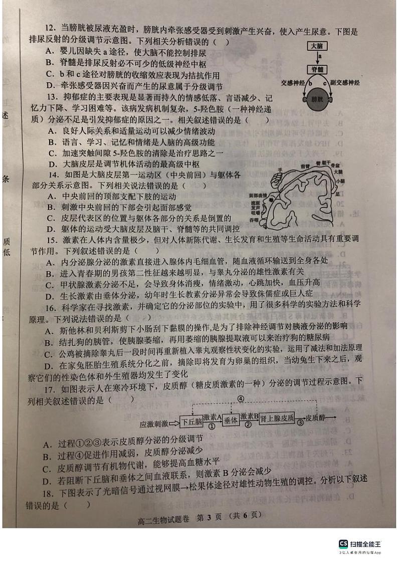 河南省郑州市十校联考2023-2024学年高二上学期期中考试生物试题03