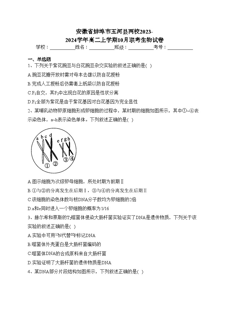 安徽省蚌埠市五河县两校2023-2024学年高二上学期10月联考生物试卷(含答案)01