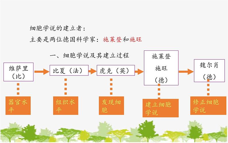 高中生物学人教版（2019）必修1 第1章 细胞是生命活动的基本单位课件05