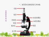 高中生物学人教版（2019）必修1 第1章 细胞的多样性和统一性课件