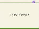 高中生物学人教版（2019）必修1 第2章 核酸是遗传信息的携带者课件