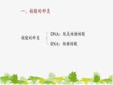 高中生物学人教版（2019）必修1 第2章 核酸是遗传信息的携带者课件