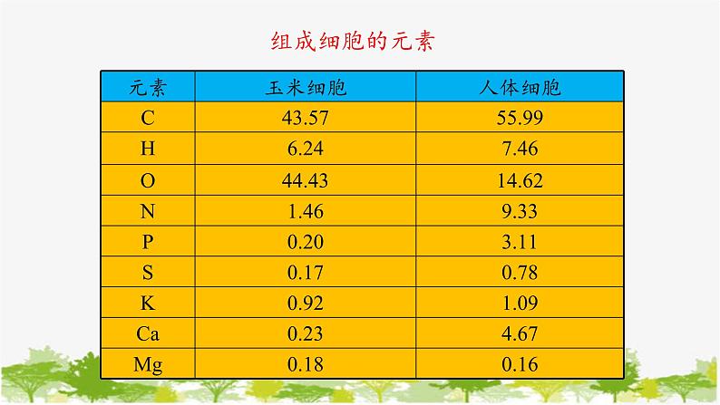 高中生物学人教版（2019）必修1 第2章 细胞中的元素和化合物课件第4页