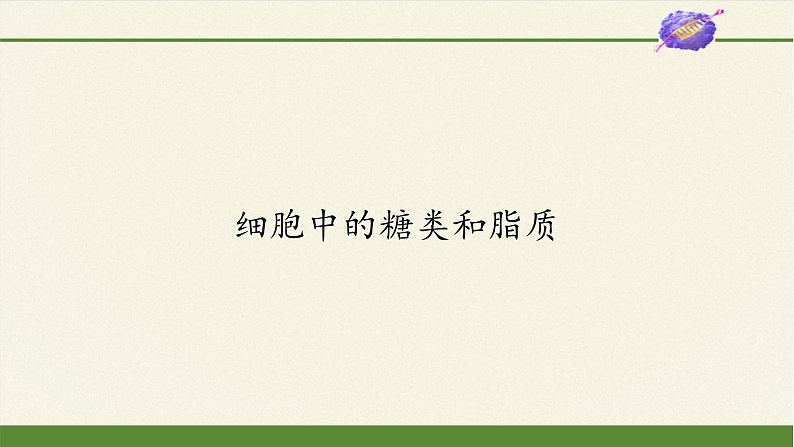 高中生物学人教版（2019）必修1 第2章 细胞中的糖类和脂质课件第1页