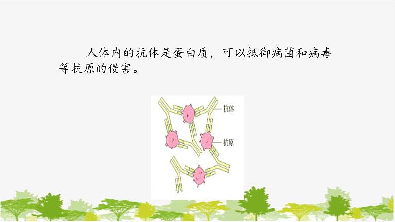 高中生物学人教版（2019）必修1 第2章 蛋白质是生命活动的主要承担者课件第7页