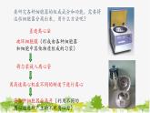高中生物学人教版（2019）必修1 第3章 细胞器之间的分工合作课件