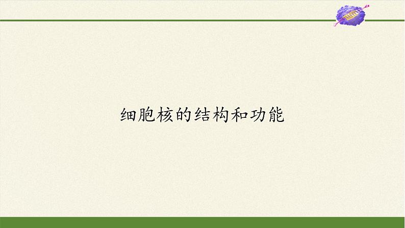 高中生物学人教版（2019）必修1 第3章 细胞核的结构和功能课件第1页