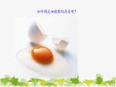 高中生物学人教版（2019）必修1 第3章 细胞膜的结构和功能课件