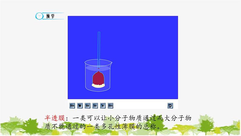 高中生物学人教版（2019）必修1 第4章 被动运输课件03