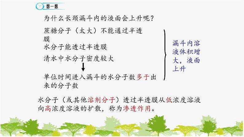 高中生物学人教版（2019）必修1 第4章 被动运输课件04