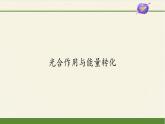 高中生物学人教版（2019）必修1 第5章 光合作用与能量转化课件