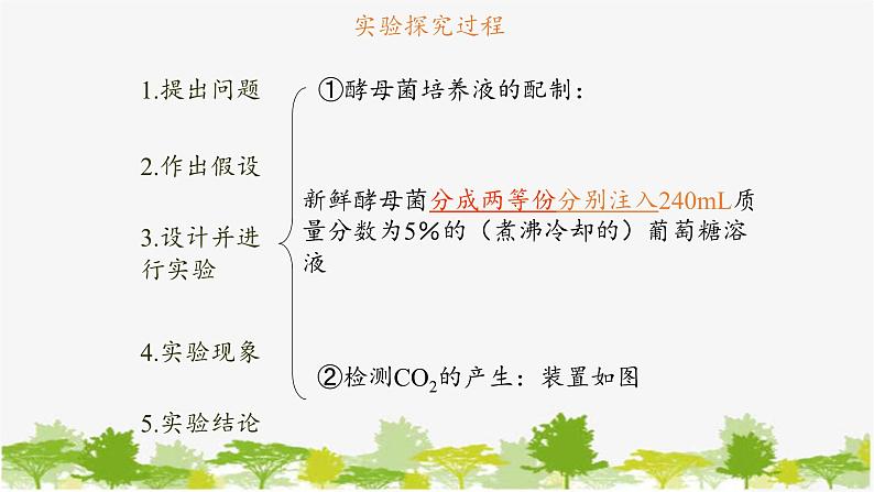 高中生物学人教版（2019）必修1 第5章 细胞呼吸的原理和应用课件第5页