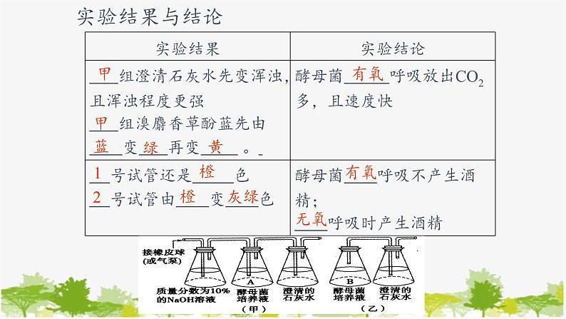 高中生物学人教版（2019）必修1 第5章 细胞呼吸的原理和应用课件第7页