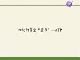 高中生物学人教版（2019）必修1 第5章 细胞的能量“货币”—ATP课件