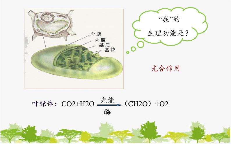 高中生物学人教版（2019）必修1 第5章 降低化学反应活化能的酶课件第6页