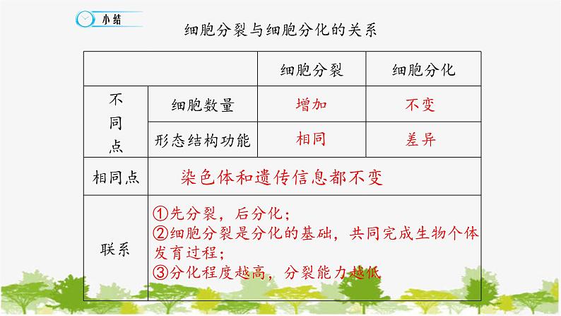 高中生物学人教版（2019）必修1 第6章 细胞的分化课件第7页