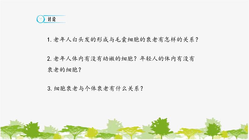 高中生物学人教版（2019）必修1 第6章 细胞的衰老和死亡课件02