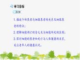 高中生物学人教版（2019）必修1 第6章 细胞的衰老和死亡课件