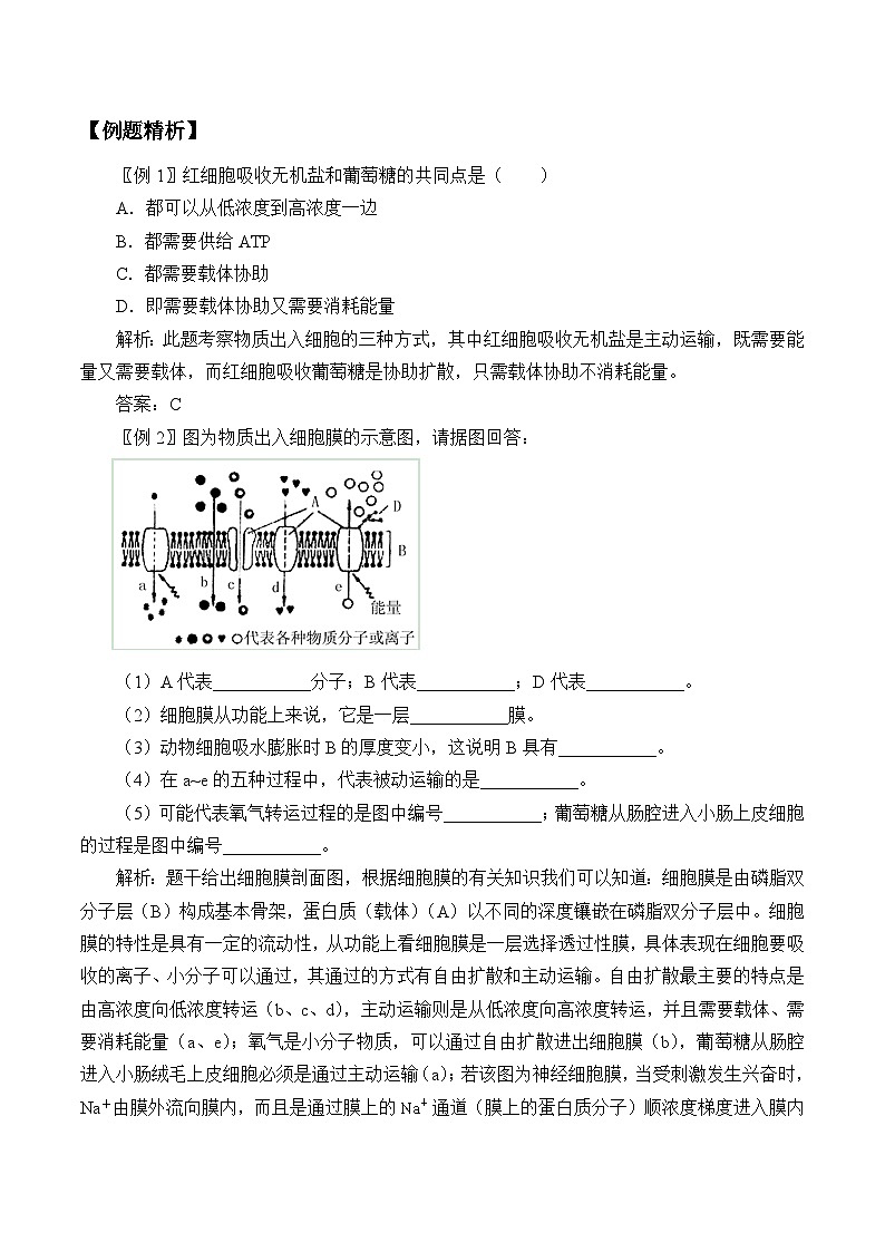 高中生物学人教版（2019）必修1 第4章 主动运输与胞吞、胞吐学案02