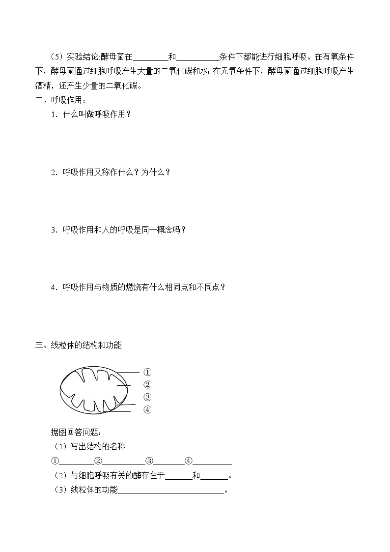 高中生物学人教版（2019）必修1 第5章 细胞呼吸的原理和应用学案02