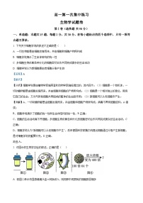 安徽省合肥市庐江五中2023-2024学年高一生物上学期期中试题（Word版附解析）