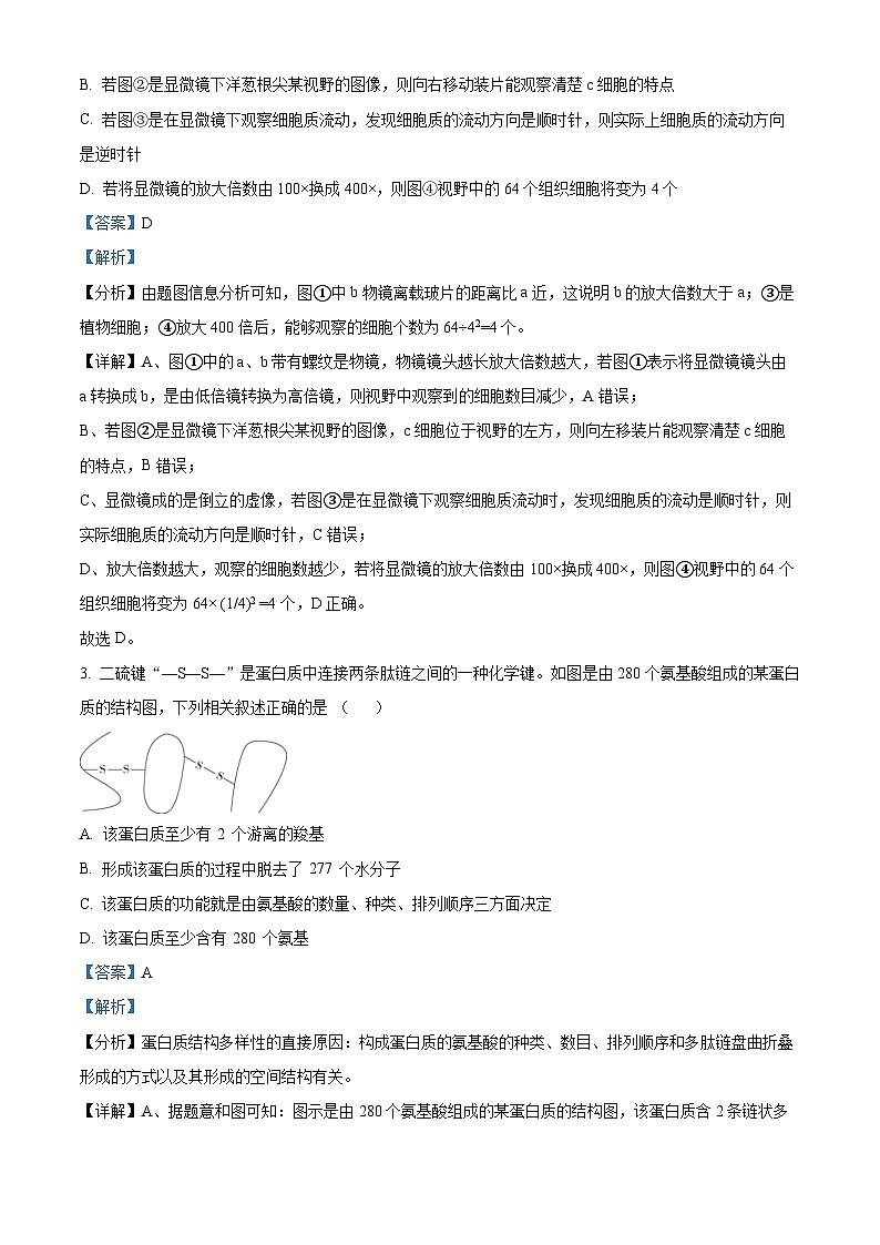 安徽省合肥市庐江五中2023-2024学年高一生物上学期期中试题（Word版附解析）第2页