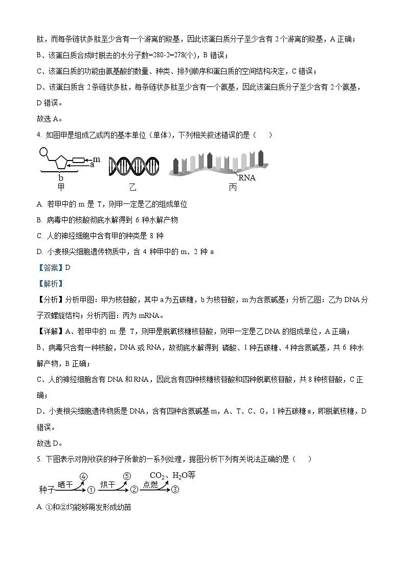 安徽省合肥市庐江五中2023-2024学年高一生物上学期期中试题（Word版附解析）第3页