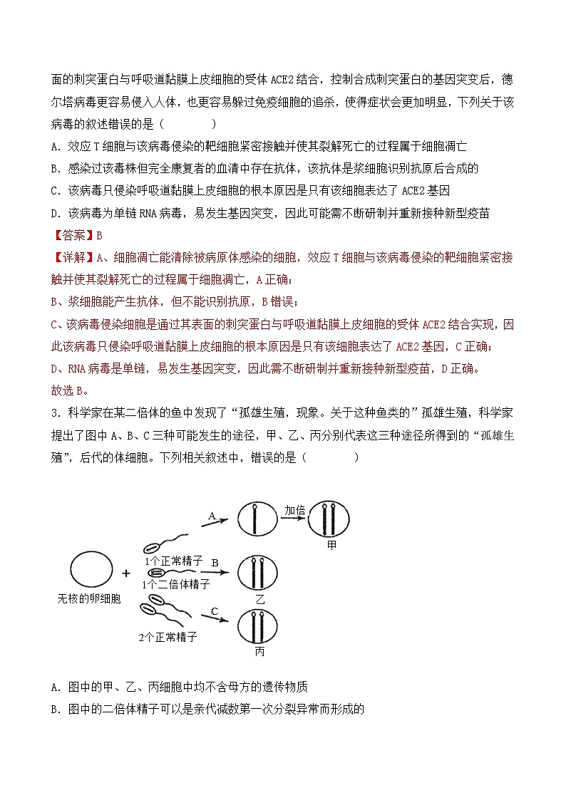 2024年高考生物一轮复习重难点训练 专题05 细胞的生命历程（包括减数分裂）试题（含答案）02