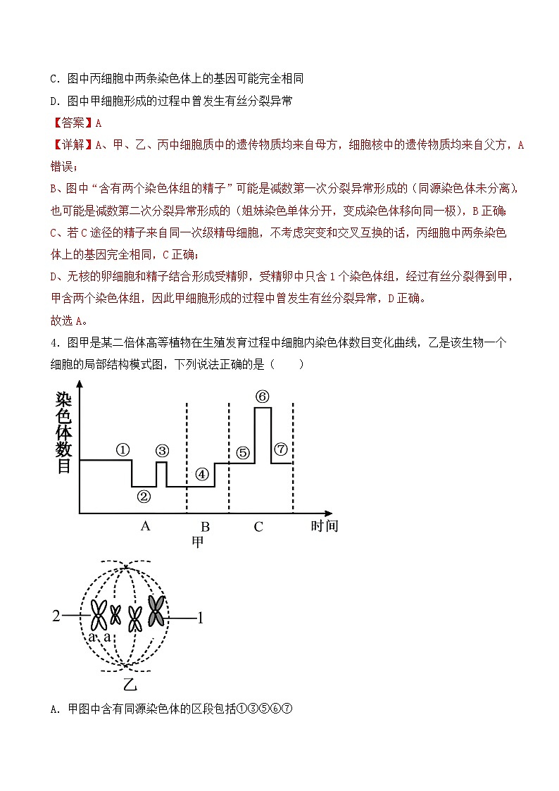 2024年高考生物一轮复习重难点训练 专题05 细胞的生命历程（包括减数分裂）试题（含答案）03