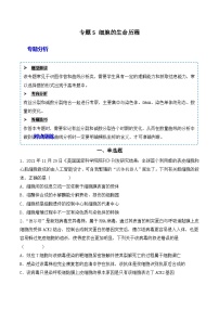 2024年高考生物一轮复习重难点训练 专题05 细胞的生命历程（包括减数分裂）试题（含答案）