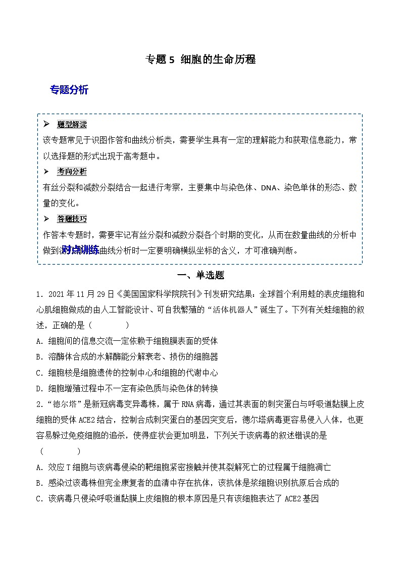2024年高考生物一轮复习重难点训练 专题05 细胞的生命历程（包括减数分裂）试题（含答案）01