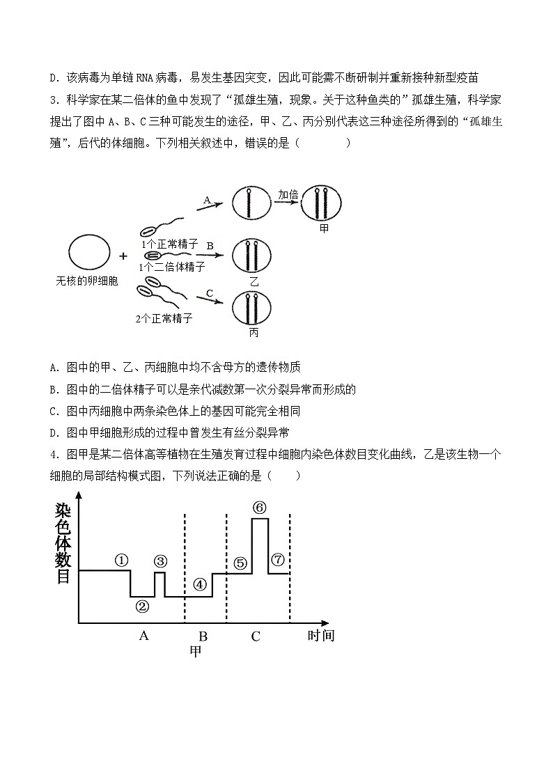 2024年高考生物一轮复习重难点训练 专题05 细胞的生命历程（包括减数分裂）试题（含答案）02