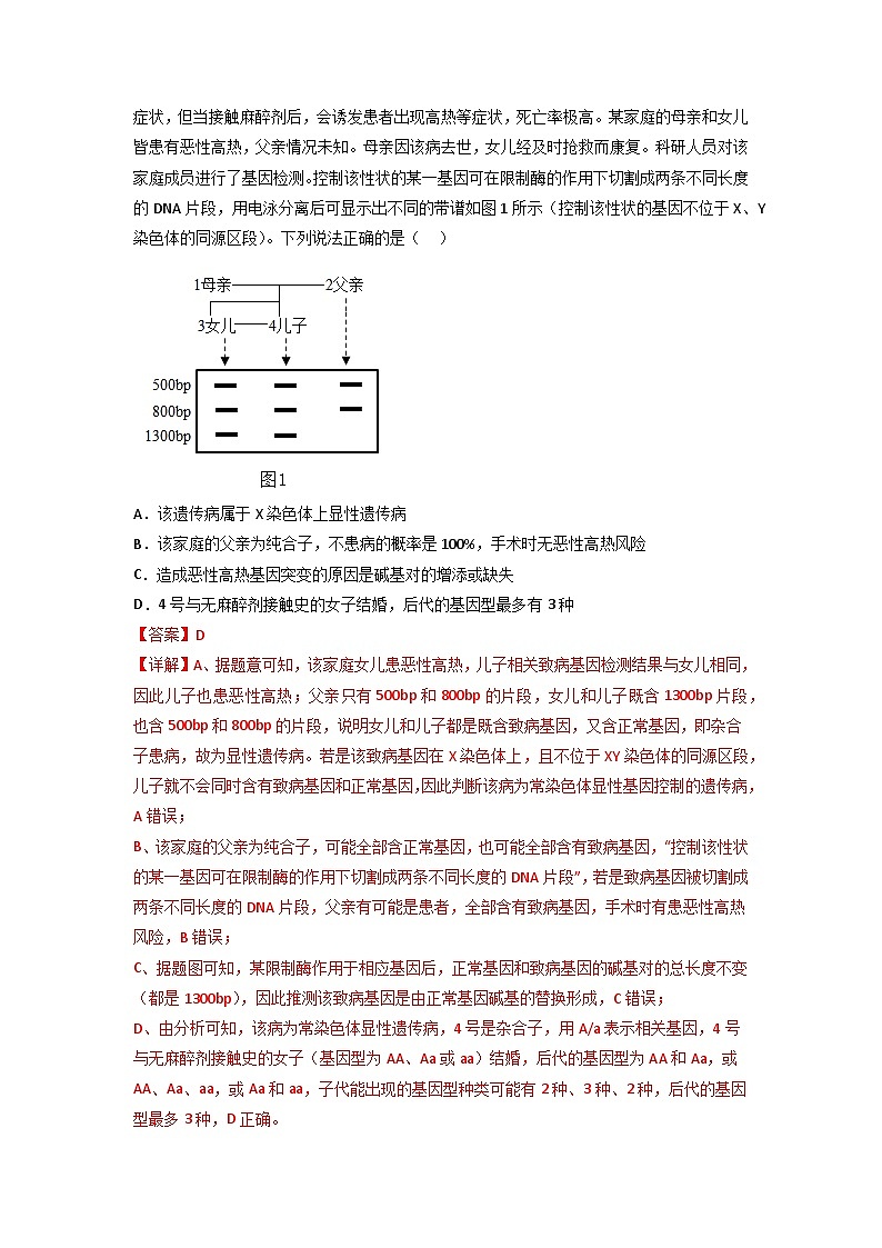 2024年高考生物一轮复习重难点训练 专题07 伴性遗传与人类遗传病试题（含答案）02