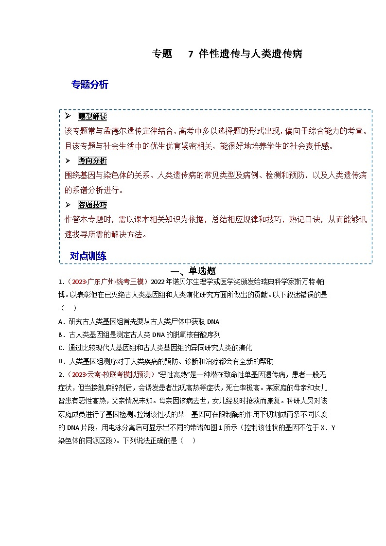 2024年高考生物一轮复习重难点训练 专题07 伴性遗传与人类遗传病试题（含答案）01