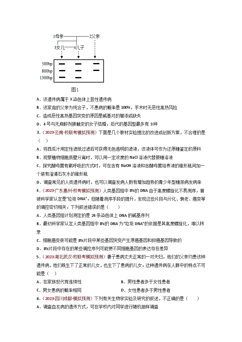 2024年高考生物一轮复习重难点训练 专题07 伴性遗传与人类遗传病试题（含答案）02