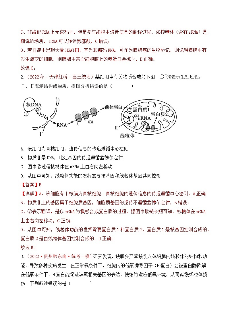 专题08 基因的表达以及基因频率的计算（解析版）第2页