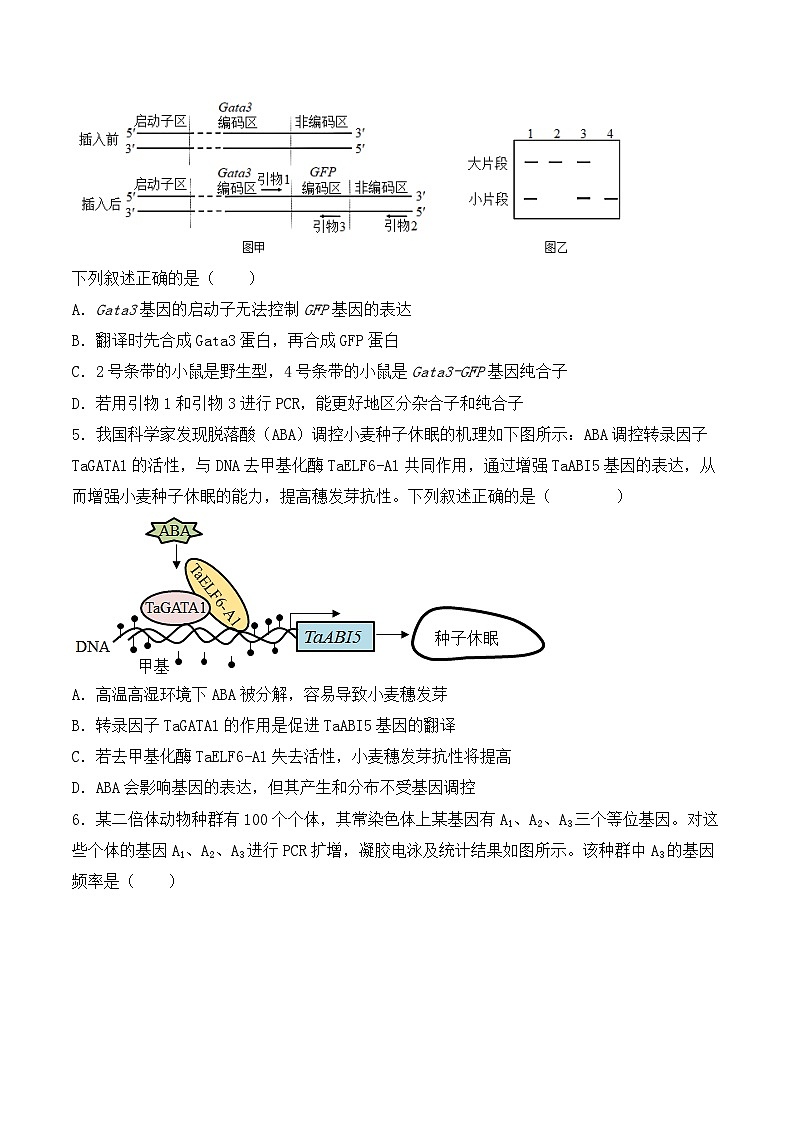 专题08 基因的表达以及基因频率的计算（原卷版）第3页