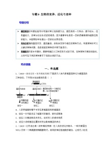 2024年高考生物一轮复习重难点训练 专题09 生物的变异、进化与育种试题（含答案）