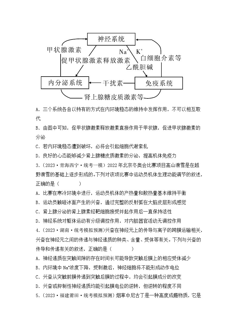 专题10 稳态与生命活动的调节（包含神经、体液调节）（原卷版）第2页