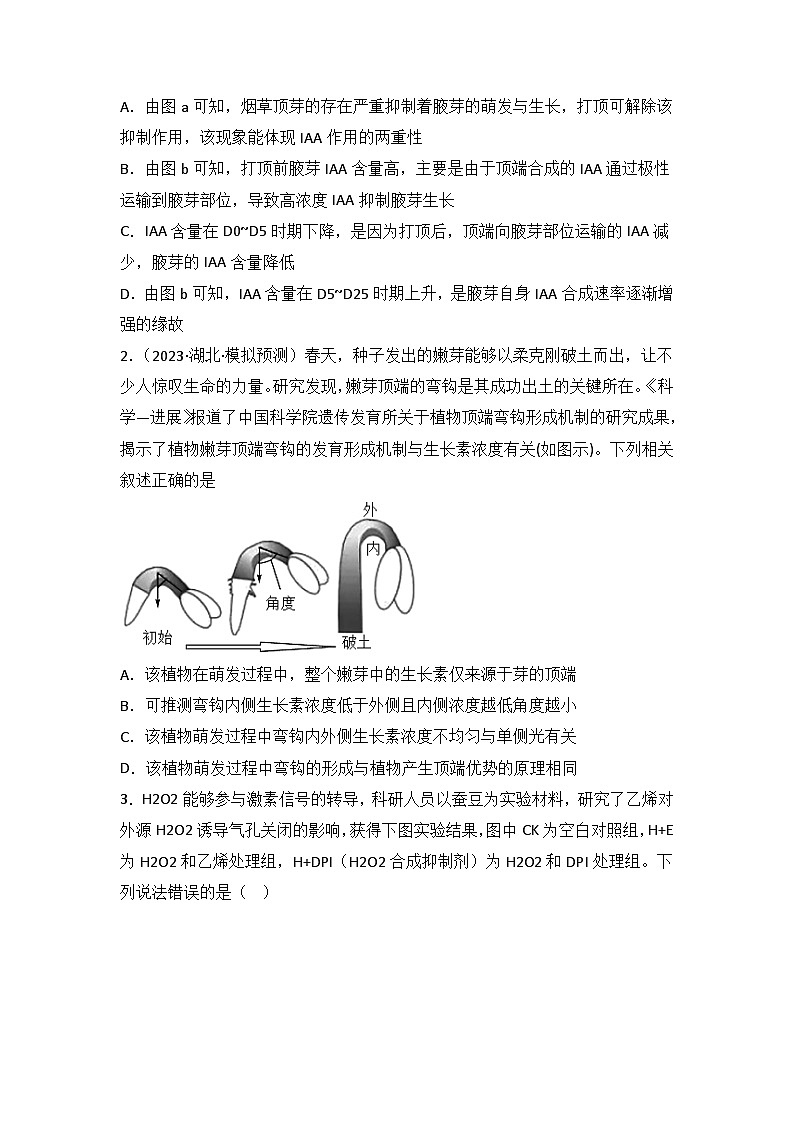 2024年高考生物一轮复习重难点训练 专题12 植物的激素调节试题（含答案）02