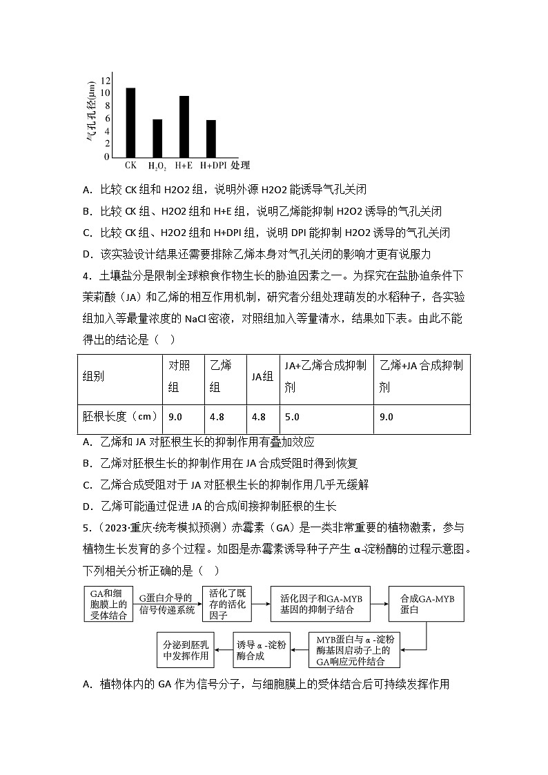 2024年高考生物一轮复习重难点训练 专题12 植物的激素调节试题（含答案）03