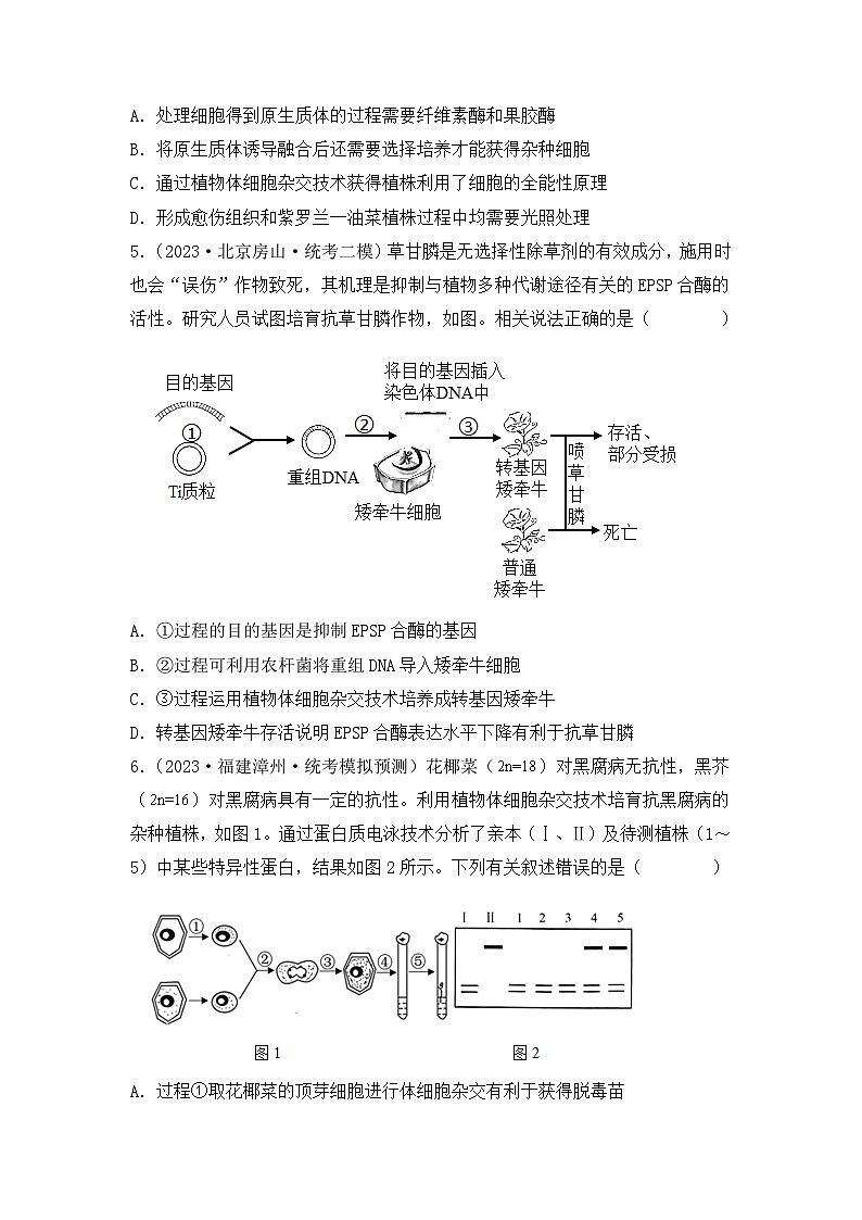专题16 植物细胞工程（原卷版）第3页