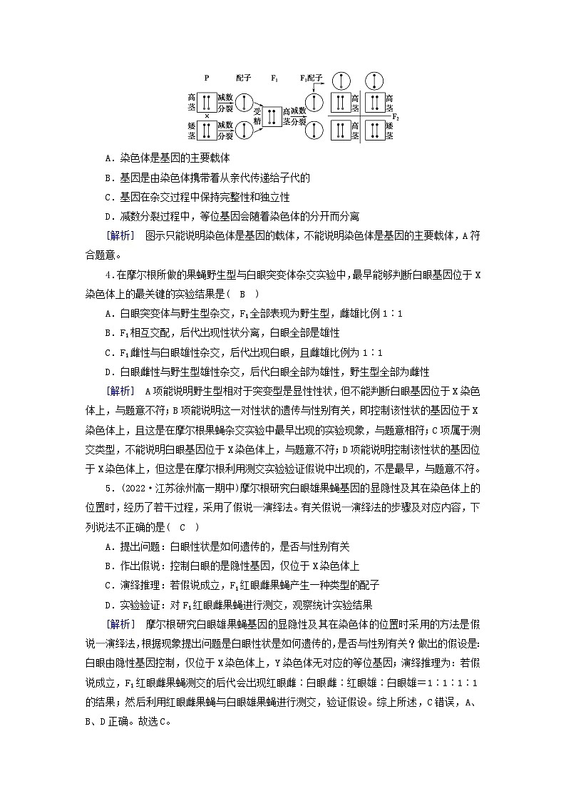 新教材2023年高中生物第2章基因和染色体的关系第2节基因在染色体上提能作业新人教版必修2第2页