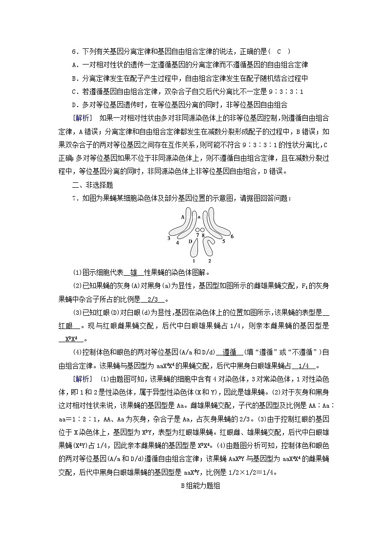 新教材2023年高中生物第2章基因和染色体的关系第2节基因在染色体上提能作业新人教版必修2第3页