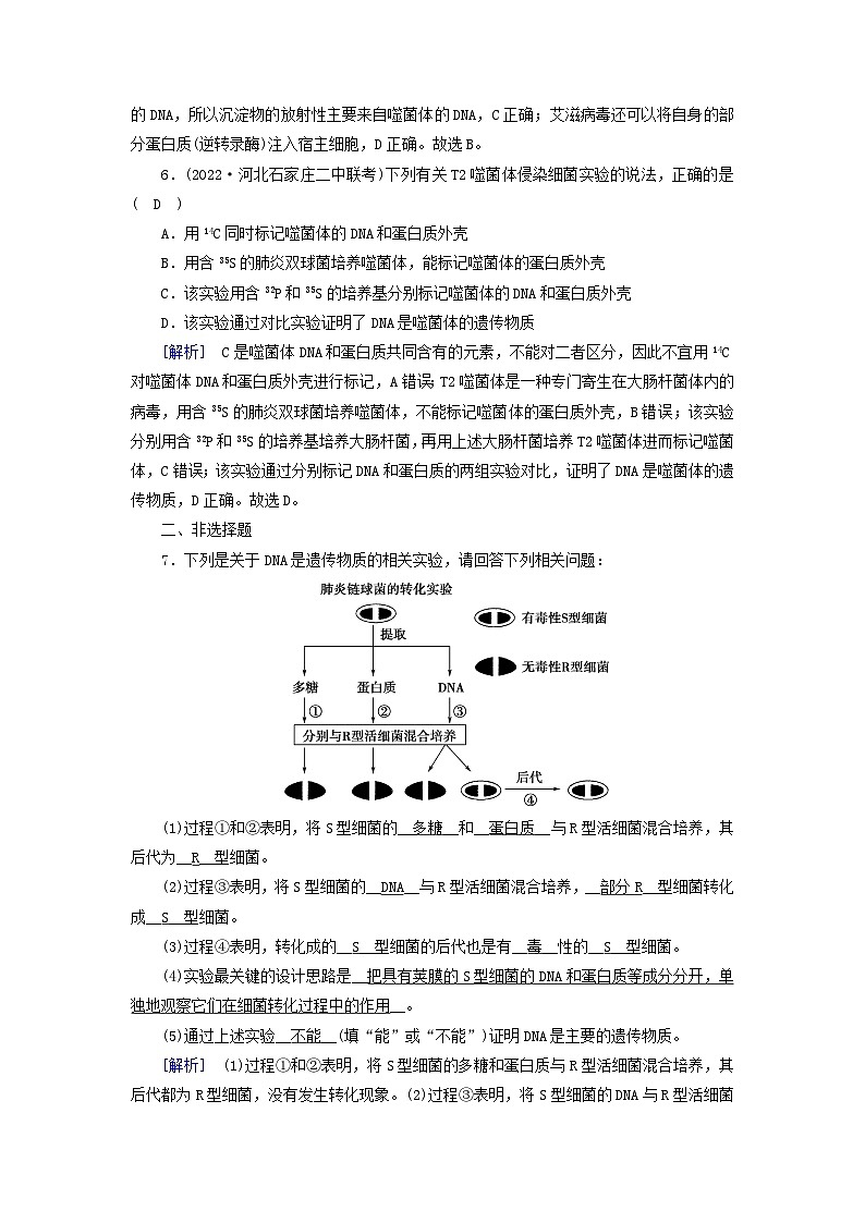新教材2023年高中生物第3章基因的本质第1节DNA是主要的遗传物质提能作业新人教版必修203