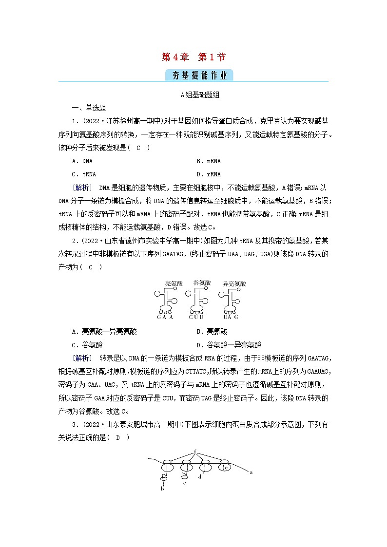 新教材2023年高中生物第4章基因的表达第1节基因指导蛋白质的合成提能作业新人教版必修2第1页