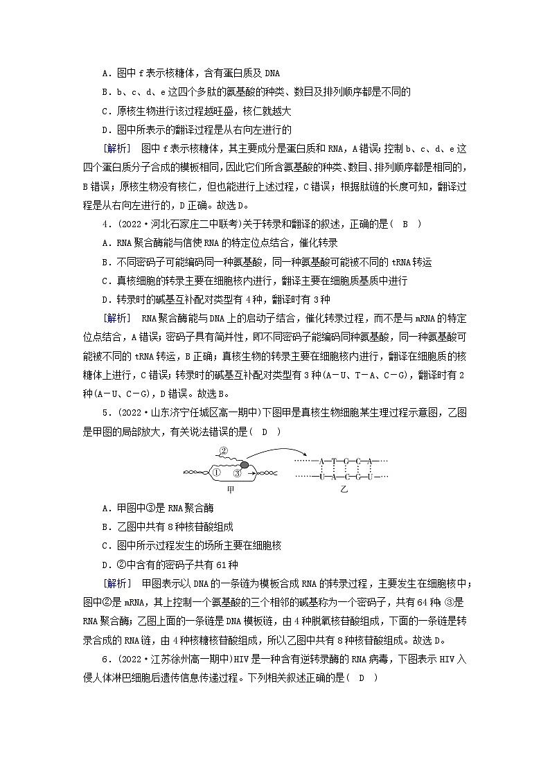 新教材2023年高中生物第4章基因的表达第1节基因指导蛋白质的合成提能作业新人教版必修2第2页
