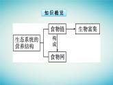 浙江专版2023_2024学年新教材高中生物第3章生态系统第2节食物链和食物网形成生态系统的营养结构课件浙科版选择性必修2