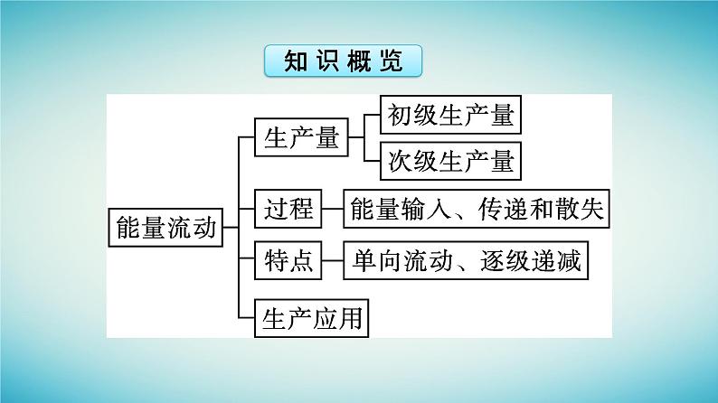 浙江专版2023_2024学年新教材高中生物第3章生态系统第3节生态系统中的能量单向递减流动课件浙科版选择性必修2第5页